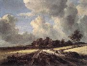 RUISDAEL, Jacob Isaackszon van Wheat Fields dh painting